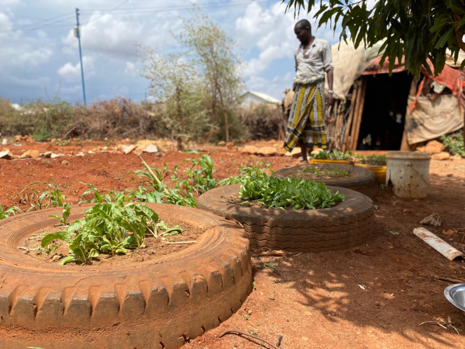 Start Planting With Us.