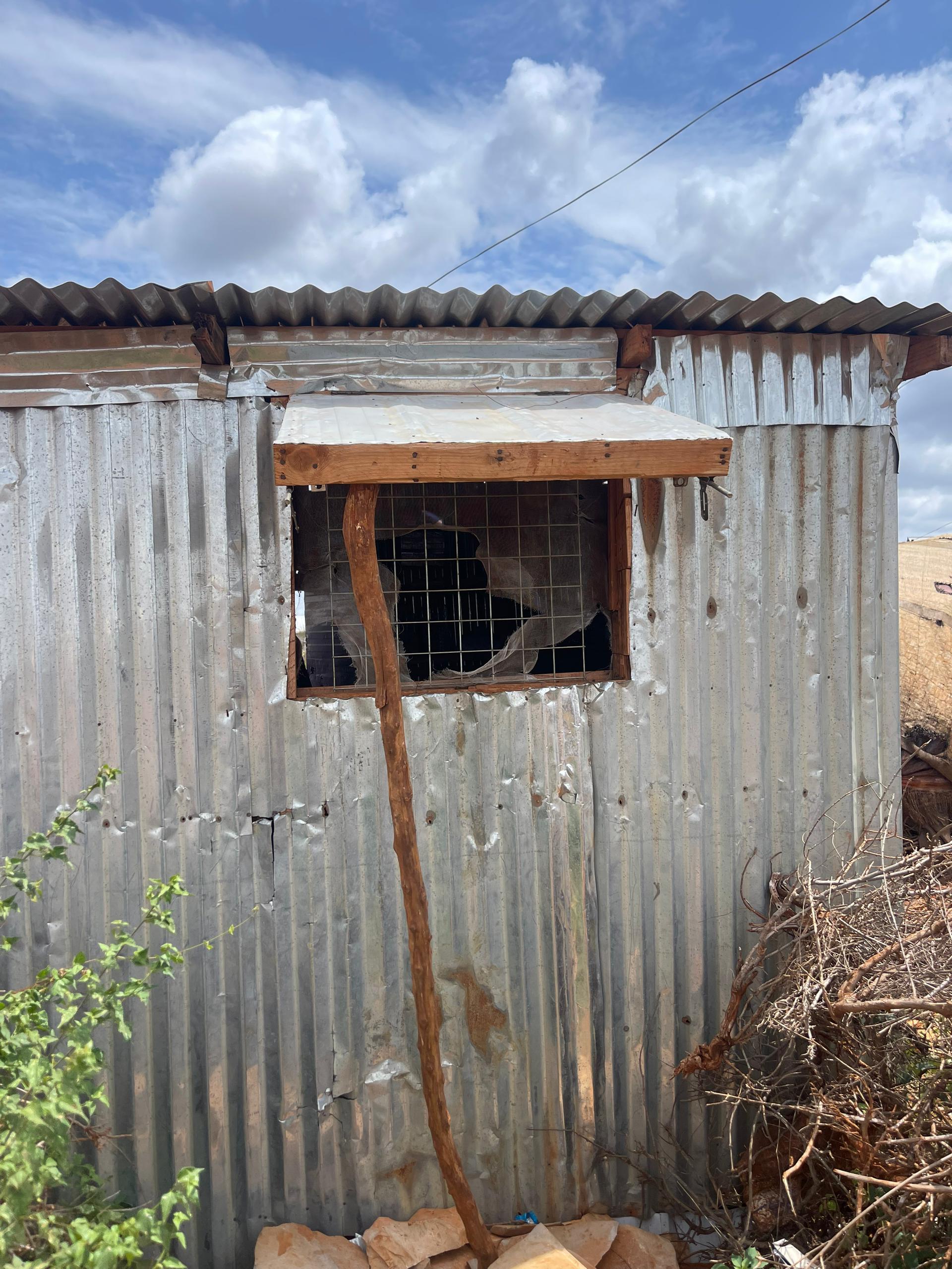 Business professional using digital tools